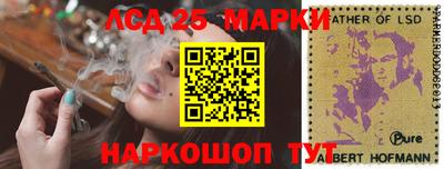 крисы Аргун