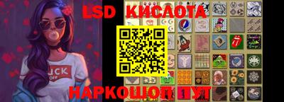 шишки Апшеронск