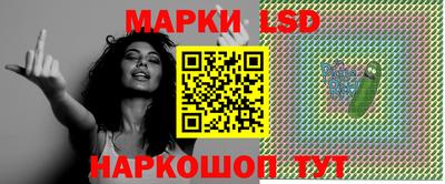 шишки Апшеронск