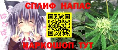 шишки Апшеронск