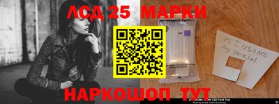 шишки Апшеронск