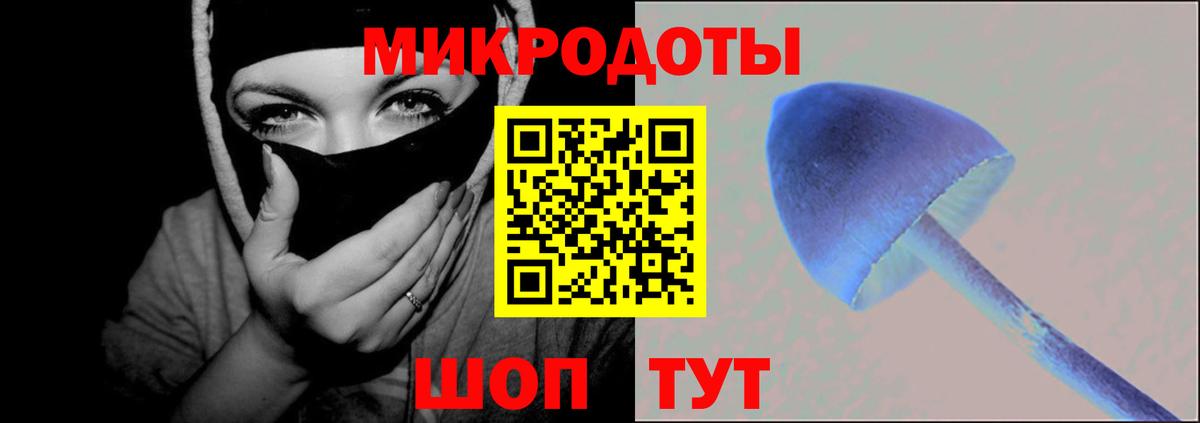 Галлюциногенные грибы Cubensis Белебей
