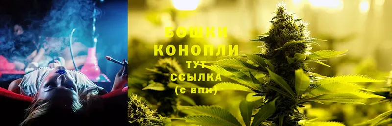 сколько стоит  Белебей  Конопля SATIVA & INDICA 